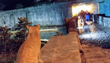 Wakacje kamperem Czarnogora Kotor