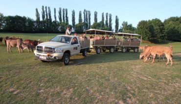 Kopie souboru Afrika Truck v Africkém safari_Přemysl_Rabas_ZOO_Dvůr_Králové