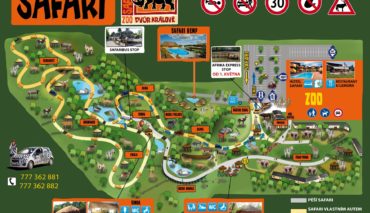 g60-zoo-dvur-kralove-140101055801